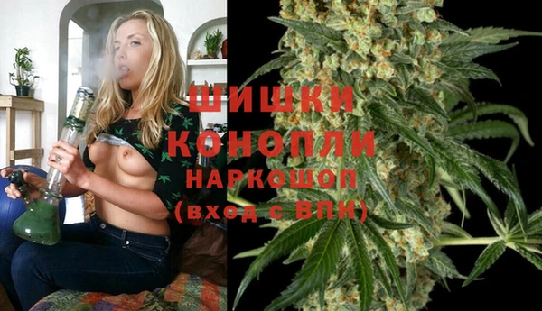 бошки Белокуриха