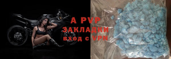 бошки Белокуриха