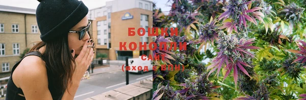 бошки Белокуриха